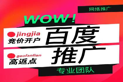 SEM外包助力电商营销案例研究